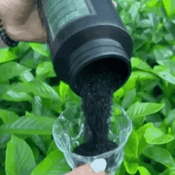Aplicación de Viresta diluido para plantas